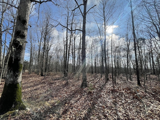 173 Twin Oaks Dr, Hohenwald, TN 38462 - view of nature