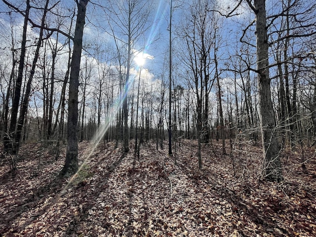 173 Twin Oaks Dr, Hohenwald, TN 38462 - view of undeveloped land