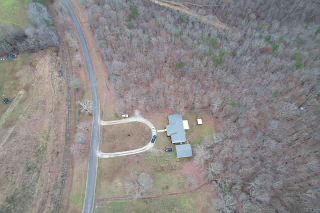 173 Twin Oaks Dr, Hohenwald, TN 38462 - aerial view of property's location