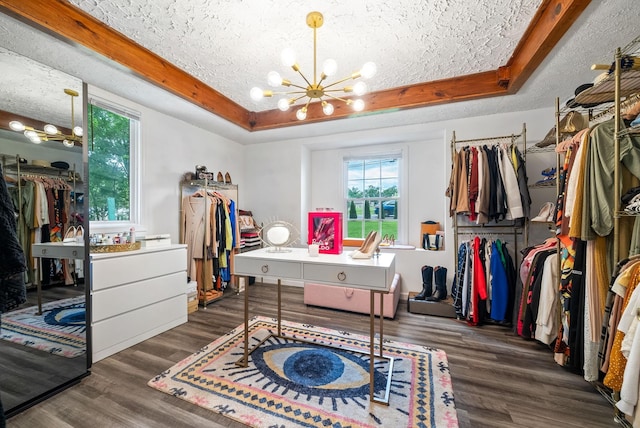 walk in closet with a tray ceiling, dark hardwood / wood-style floors, and an inviting chandelier