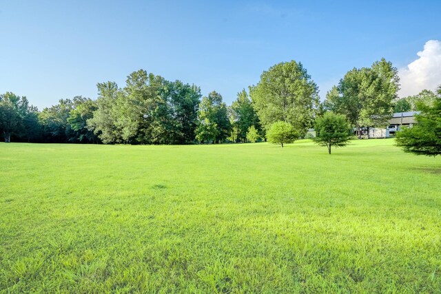 17 Kaw Liga Dr, Bath Springs, TN 38311 - photo 18