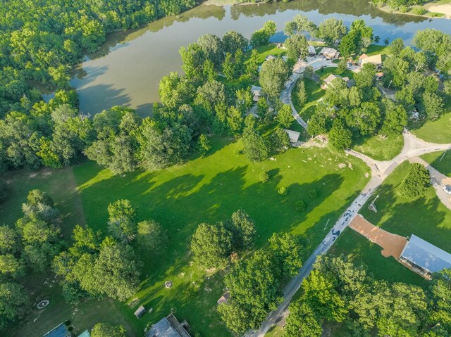 17 Kaw Liga Dr, Bath Springs, TN 38311 - photo 32