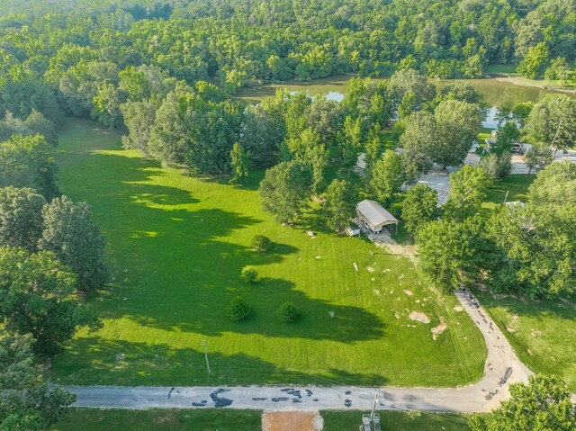 17 Kaw Liga Dr, Bath Springs, TN 38311 - photo 30