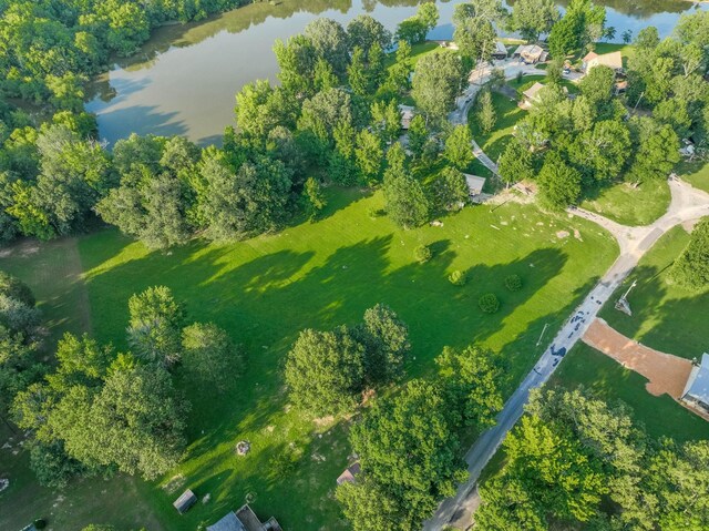 17 Kaw Liga Dr, Bath Springs, TN 38311 - photo 33