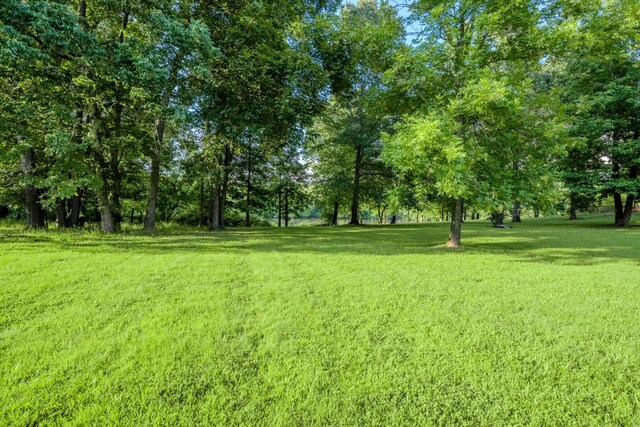 17 Kaw Liga Dr, Bath Springs, TN 38311 - photo 20