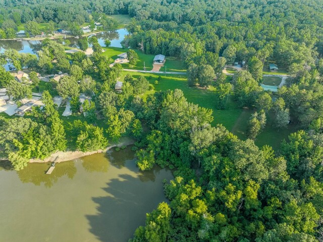 17 Kaw Liga Dr, Bath Springs, TN 38311 - photo 37