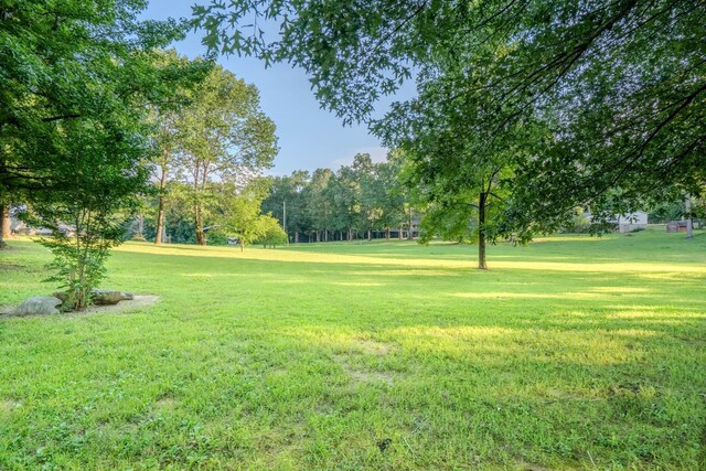 17 Kaw Liga Dr, Bath Springs, TN 38311 - photo 26