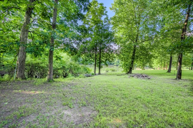 17 Kaw Liga Dr, Bath Springs, TN 38311 - photo 21