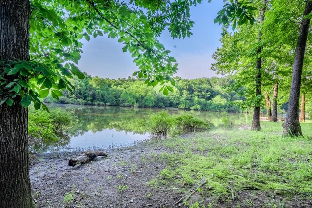 17 Kaw Liga Dr, Bath Springs, TN 38311 - photo 23