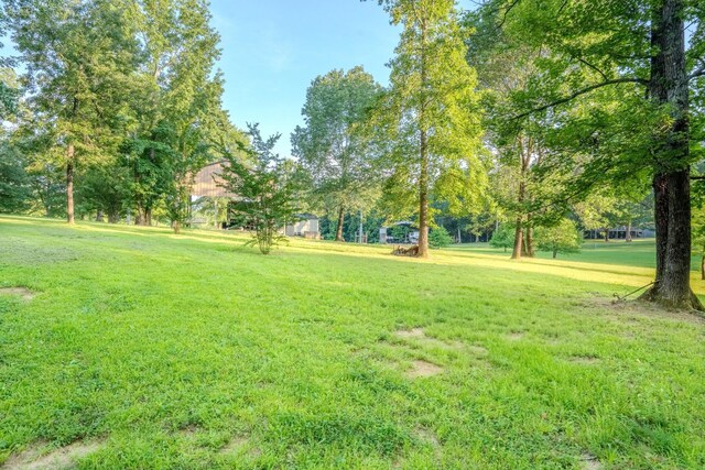 17 Kaw Liga Dr, Bath Springs, TN 38311 - photo 27