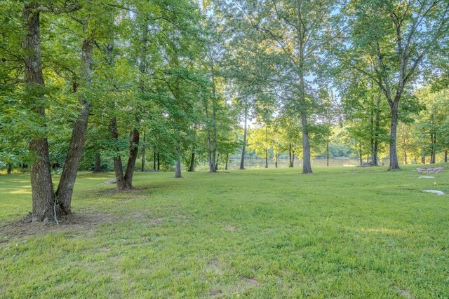 17 Kaw Liga Dr, Bath Springs, TN 38311 - photo 28