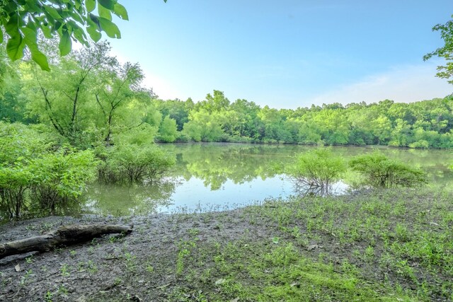 17 Kaw Liga Dr, Bath Springs, TN 38311 - photo 24