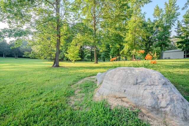 17 Kaw Liga Dr, Bath Springs, TN 38311 - photo 29