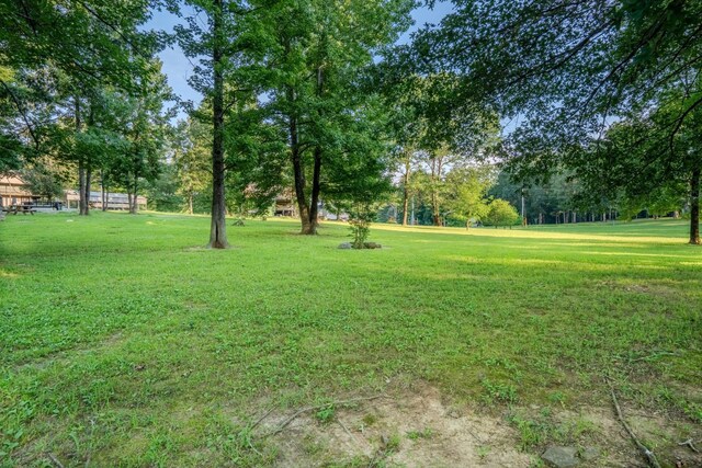 17 Kaw Liga Dr, Bath Springs, TN 38311 - photo 25
