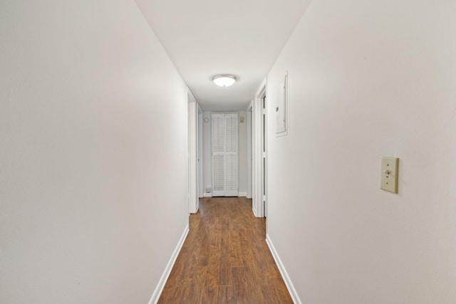 hallway featuring dark wood-type flooring