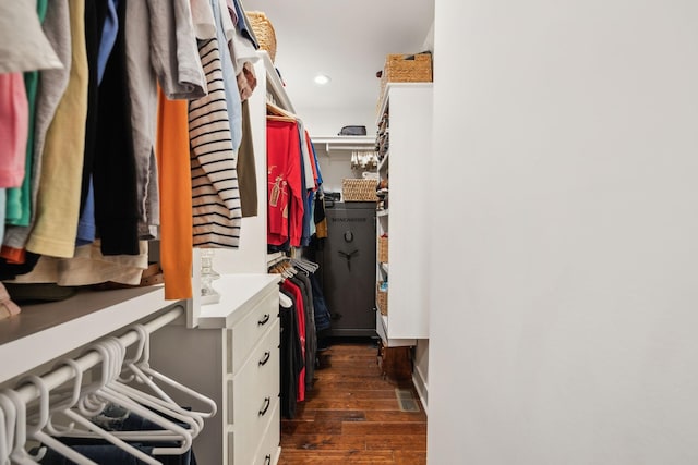 spacious closet with dark hardwood / wood-style flooring