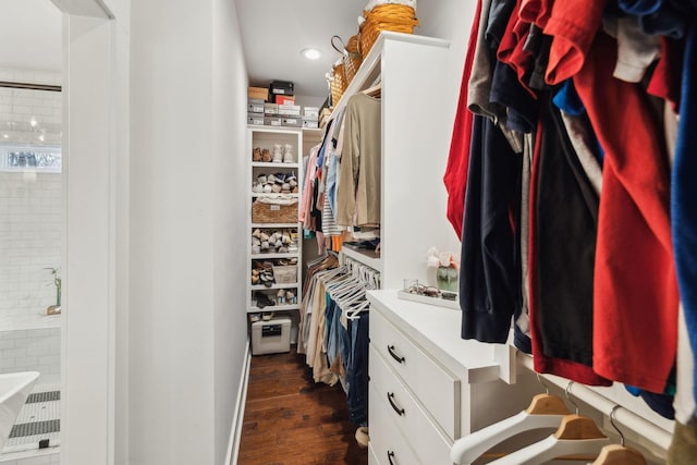 spacious closet featuring dark wood-type flooring