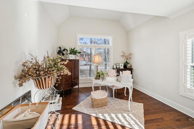 sitting room featuring dark hardwood / wood-style flooring, a healthy amount of sunlight, and lofted ceiling