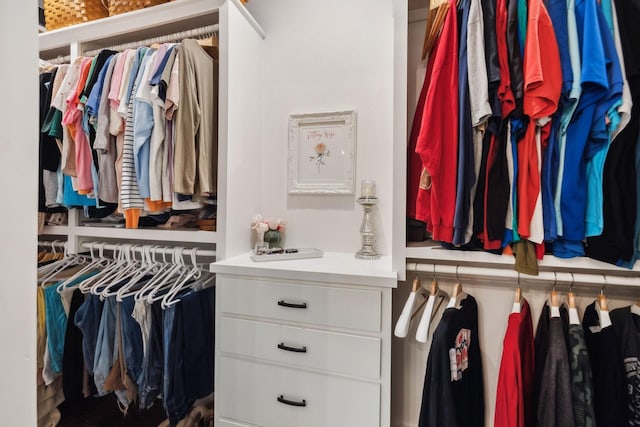 view of spacious closet