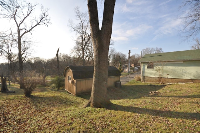 view of yard featuring a storage unit