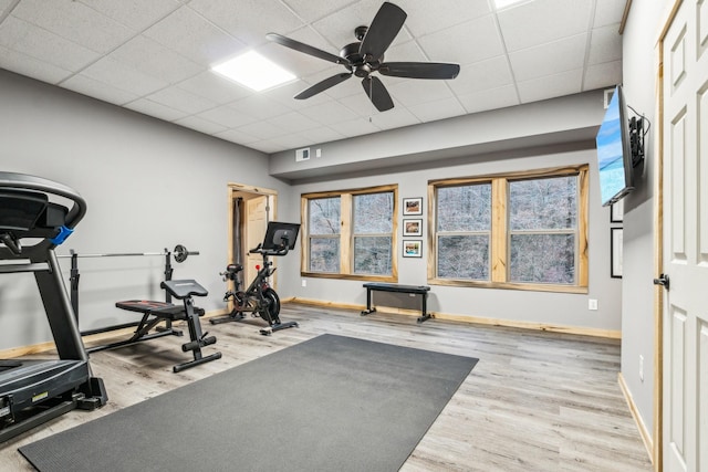 workout area with a drop ceiling, light hardwood / wood-style floors, and ceiling fan