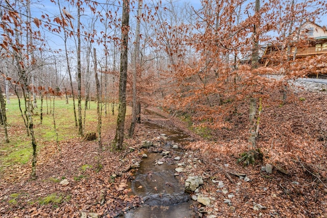 view of local wilderness