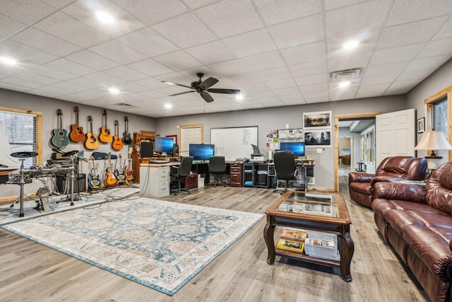 living room with ceiling fan, a drop ceiling, and light wood-type flooring