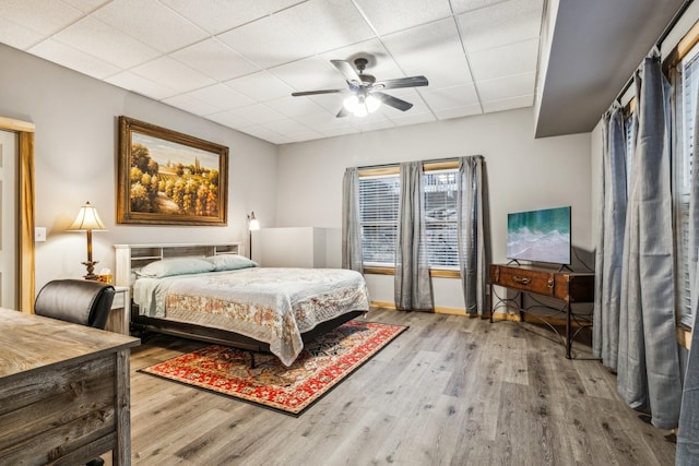 bedroom with ceiling fan, light hardwood / wood-style flooring, and a drop ceiling