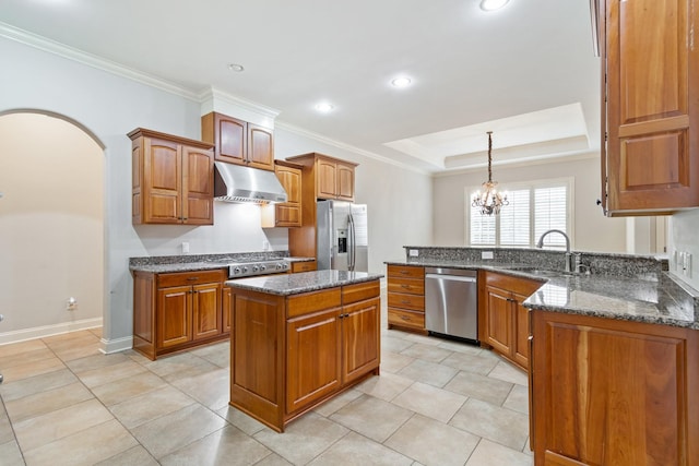 kitchen with sink, a center island, decorative light fixtures, a tray ceiling, and appliances with stainless steel finishes