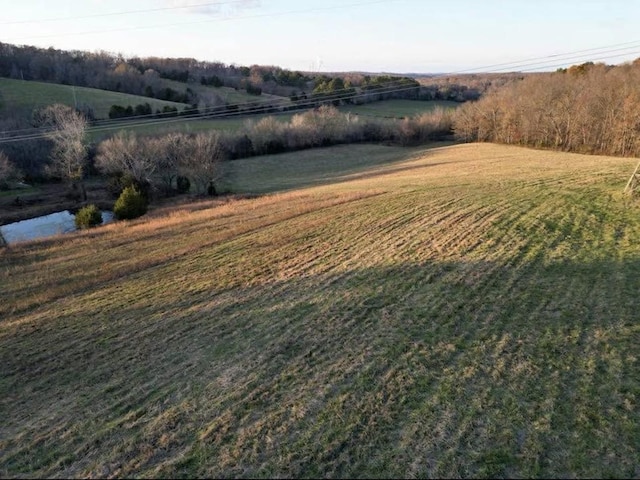 440 Joe Adams Rd, Erin TN, 37061 land for sale