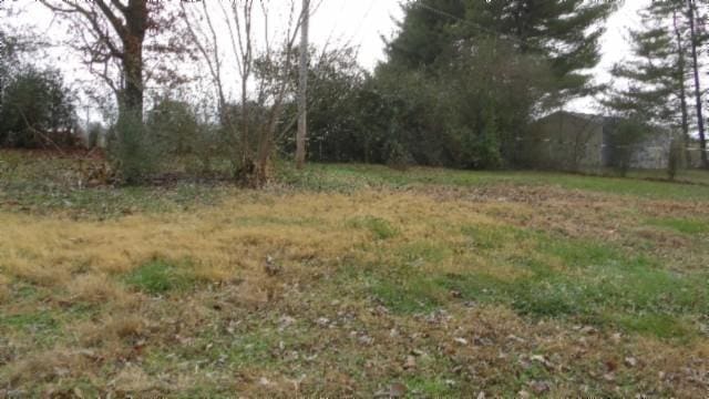 146 Garden Dr, Lafayette, TN 37083 - view of undeveloped land