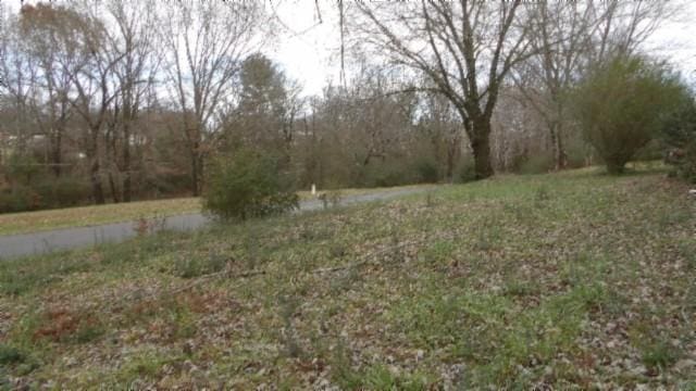 146 Garden Dr, Lafayette, TN 37083 - view of yard