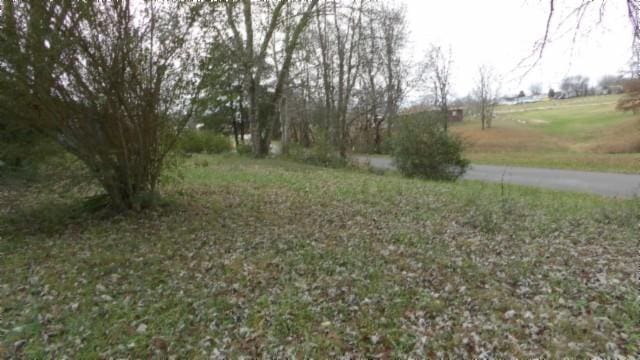 146 Garden Dr, Lafayette, TN 37083 - view of yard