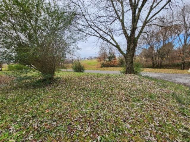 146 Garden Dr, Lafayette, TN 37083 - view of yard