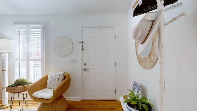 foyer entrance featuring hardwood / wood-style floors and plenty of natural light