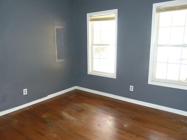 unfurnished room with electric panel and dark wood-type flooring