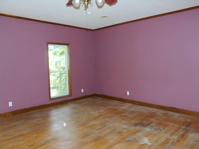 unfurnished room featuring light hardwood / wood-style floors, ceiling fan, and ornamental molding