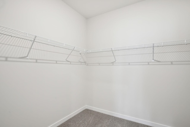 spacious closet with carpet