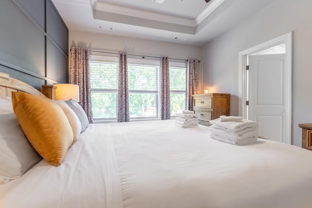 bedroom featuring a tray ceiling and ceiling fan