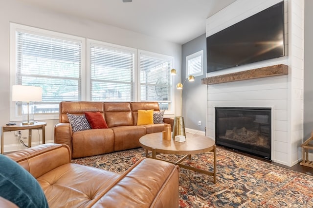 living room featuring a large fireplace and wood-type flooring