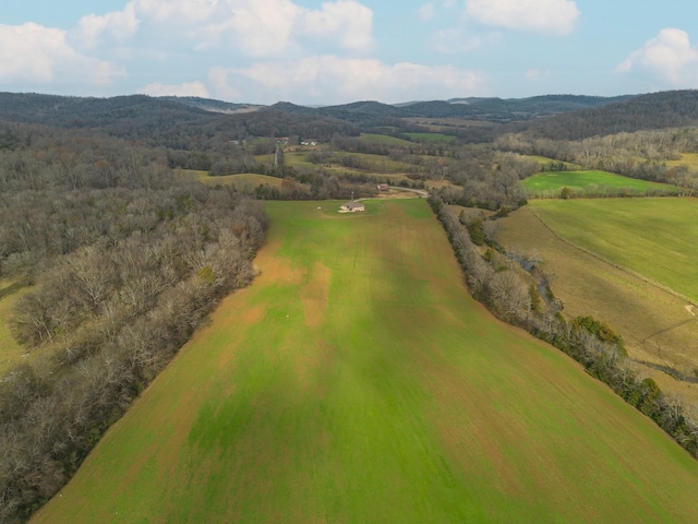 bird's eye view featuring a mountain view