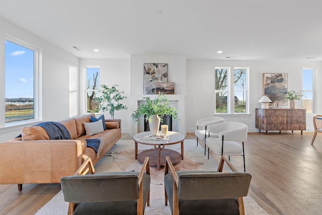 living room featuring light hardwood / wood-style flooring