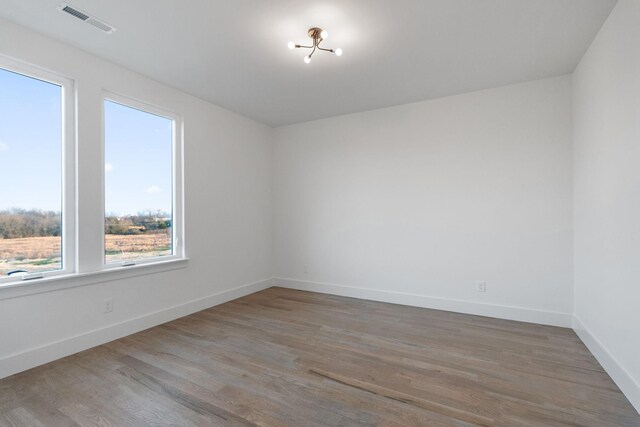 unfurnished room featuring a healthy amount of sunlight and wood-type flooring