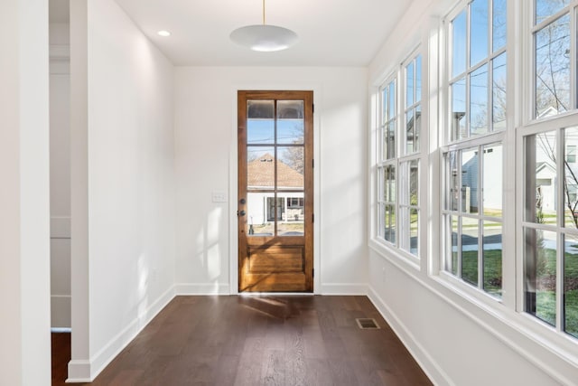 entryway featuring dark hardwood / wood-style flooring and plenty of natural light