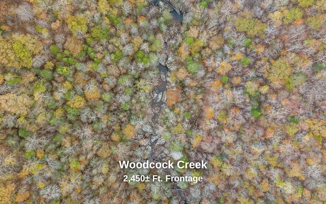 3868 Hobbstown Rd, Dunlap, TN 37327 - aerial view of property and surrounding area