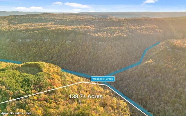 3868 Hobbstown Rd, Dunlap, TN 37327 - aerial view of property's location with a heavily wooded area and property boundaries highlighted