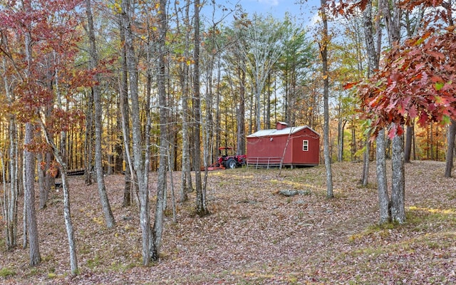 view of yard featuring a shed