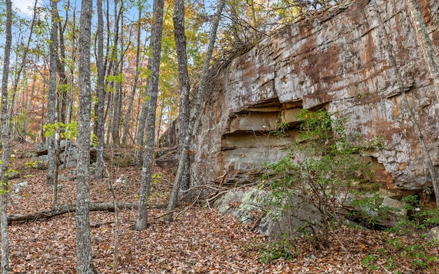 3868 Hobbstown Rd, Dunlap, TN 37327 - view of undeveloped land