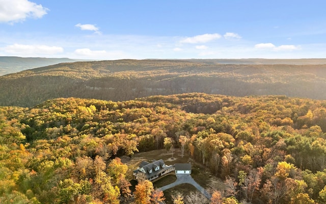 bird's eye view with a mountain view