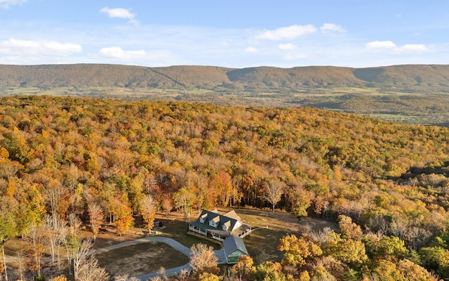 3868 Hobbstown Rd, Dunlap, TN 37327 - view of mountain backdrop with a forest